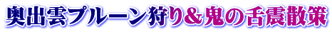 奥出雲プルーン狩り&鬼の舌震散策