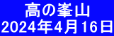 　  高の峯山 2024年4月16日