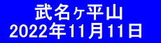 　   武名ヶ平山   2022年11月11日　