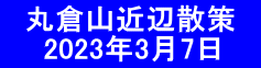 　丸倉山近辺散策　 　  2023年3月7日