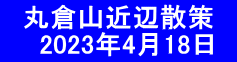 　丸倉山近辺散策　 　  2023年4月18日