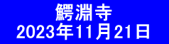 　　　　鰐淵寺 　2023年11月21日　