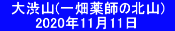 　大渋山(一畑薬師の北山)    　　　2020年11月11日