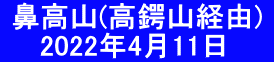  鼻高山(高鍔山経由)  　  2022年4月11日　