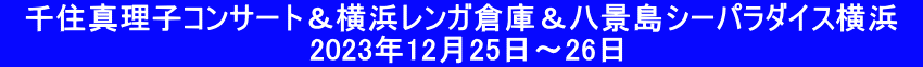 　千住真理子コンサート＆横浜レンガ倉庫＆八景島シーパラダイス横浜　 　　　　 　　　　　　　　　　2023年12月25日～26日